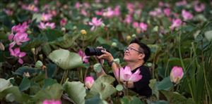 La Thaïlande explose le tourisme mondial (et son écosystème)