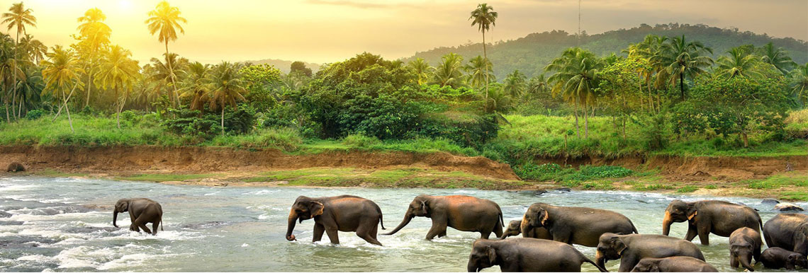 Sri Lanka